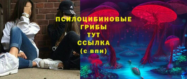 МДПВ Алексин