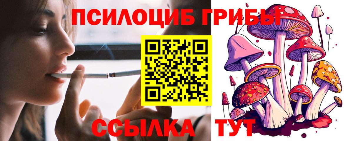 Галлюциногенные грибы ЛСД  Псилоцибиновые грибы ЛСД  Мыски  Вход с VPN 