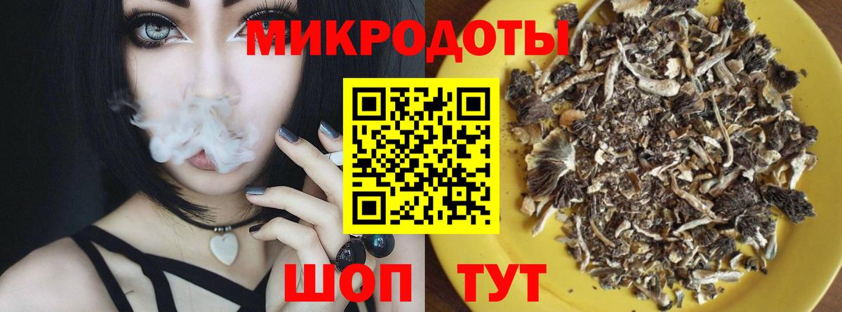 Галлюциногенные грибы мухоморы Мыски
