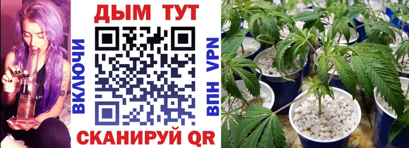 Каннабис VHQ  Мыски 